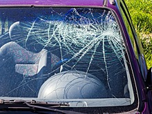 Калужанин разбил стекла такси за отказ везти