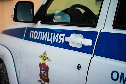 Полицейские задержали в Московской области жителя Воронежа, подозреваемого в незаконном обороте наркотиков