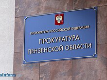 Укушенному собакой пензенскому школьнику выплатят 50 000 рублей