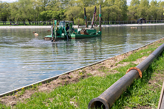 Реконструкция Алтуфьевского пруда завершена более чем наполовину