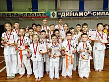 Три выселковца стали чемпионами турнира по каратэ