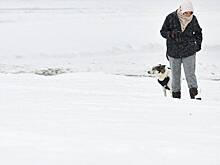 Москвичам предсказали мороз