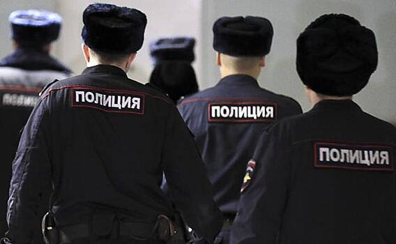 Адепты Зеленского устроили сходку в Санкт-Петербурга