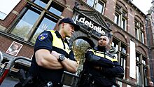 В Нидерландах арестовали пьяного «Бориса Джонсона» с украинскими правами