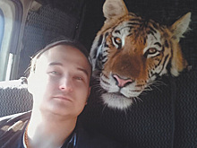 Пара россиян продала все имущество ради помощи больным тиграм