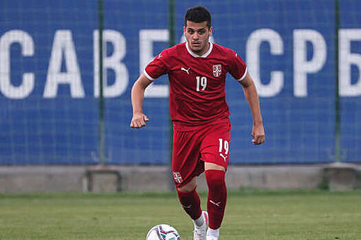 Главный тренер ЦСКА Николич  заблокировал трансфер футболиста Зукича