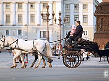 Власти Петербурга не ожидают восстановления турпотока в 2021 году