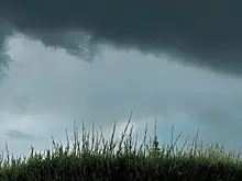 На улицах Самары продолжается покос травы