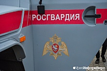 Бойцы Росгвардии будут помогать ловить "зайцев" в общественном транспорте Екатеринбурга
