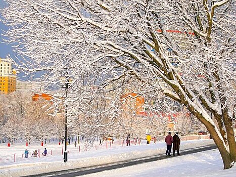 Депутат МГД Киселева: Проект «Мой спортивный район» повысит популярность зимних видов спорта