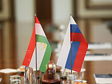 Соглашение с Таджикистаном о медосмотре мигрантов внесли на ратификацию в Госдуму