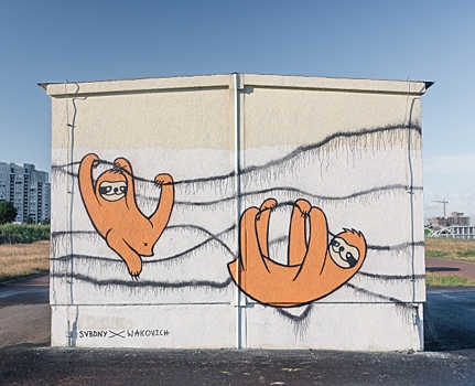Петербургские коммунальщики закрасили граффити с ленивцем-мемом «Свободный от забот»