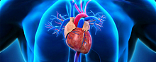 В СМГУ разработали метод улучшения диагностики болезней сердца