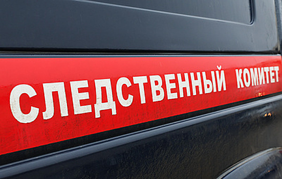 Гражданину США предъявили обвинение в нападении на полицейского в Москве