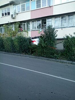 Сочинский лихач заставил свою иномарку «взлететь»