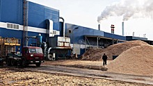 Россия может начать поставки биомассы в Европу
