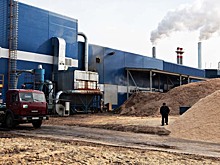 Россия может начать поставки биомассы в Европу