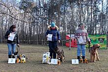 Клуб «Варяг» провёл соревнования среди собак