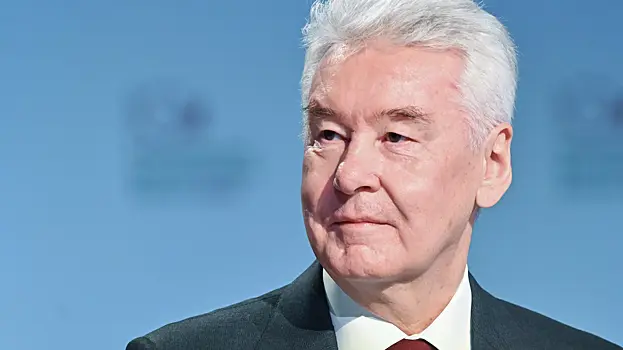 Собянин провел предновогодний прием для послов зарубежных стран