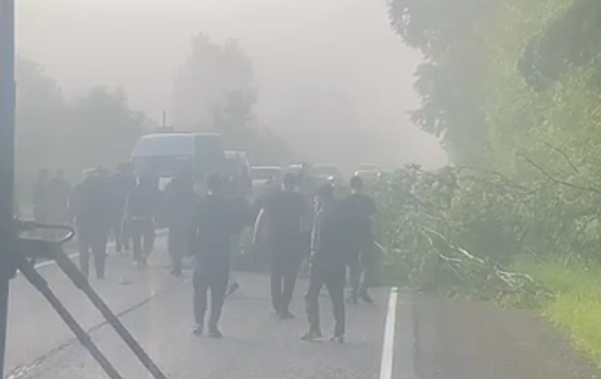 Упавшее дерево перекрыло движение транспорта рядом с Кемеровом