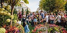Яркая осень: созданные на фестивале «Цветочный джем» сады будут украшать город до наступления холодов