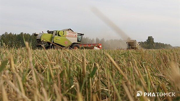 Полигон технологичного земледелия планируют запустить в Томской области весной