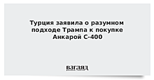 Турция заявила о разумном подходе Трампа к покупке Анкарой С-400