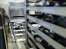 Работающие в РФ немецкие компании заинтересовались экспортом