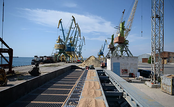 Турция расследует происхождение зерна на российском корабле