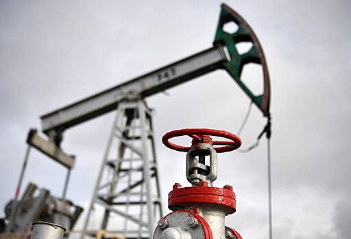 В Турции заявили об обнаружении самой качественной в мире нефти