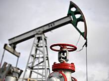 В Турции заявили об обнаружении самой качественной в мире нефти
