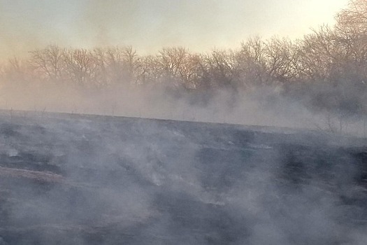 Дым от природных пожаров в Китае накрыл российский Дальний Восток