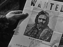 Помощь полиции в задержании преступников переходит на платную основу