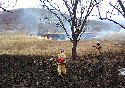 Минобороны РФ проводит спецучение по тушению лесных пожаров