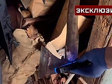 Источник: задержанный глава семьи в Канске избивал маленького сына за плач