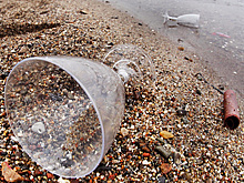 Чем опасен одноразовый стаканчик: как пластик губит океаны