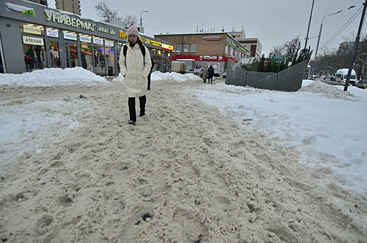 В Москве 1 января стало рекордно теплым за всю историю