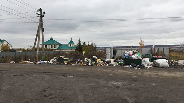 В Пензенской области ввели штрафы за стихийные свалки и сброс мусора