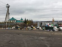 В Пензенской области ввели штрафы за стихийные свалки и сброс мусора