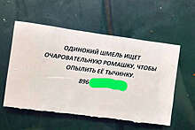 Неизвестный оставил объявление о поиске "очаровательной ромашки" в лифте дома в Москве