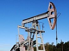 Эксперт рассказал о рисках снижения добычи нефти ОПЕК+
