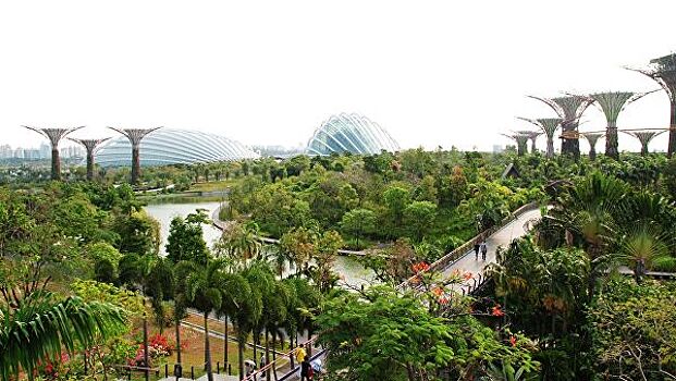 Закрытые границы могут уничтожить туристическую отрасль Сингапура