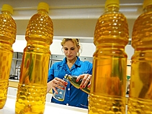 Подсолнечное масло приравняют к нефти