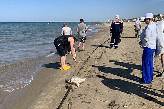 В Анапе за последние пять дней не обнаружено новых выбросов мазута на пляжи