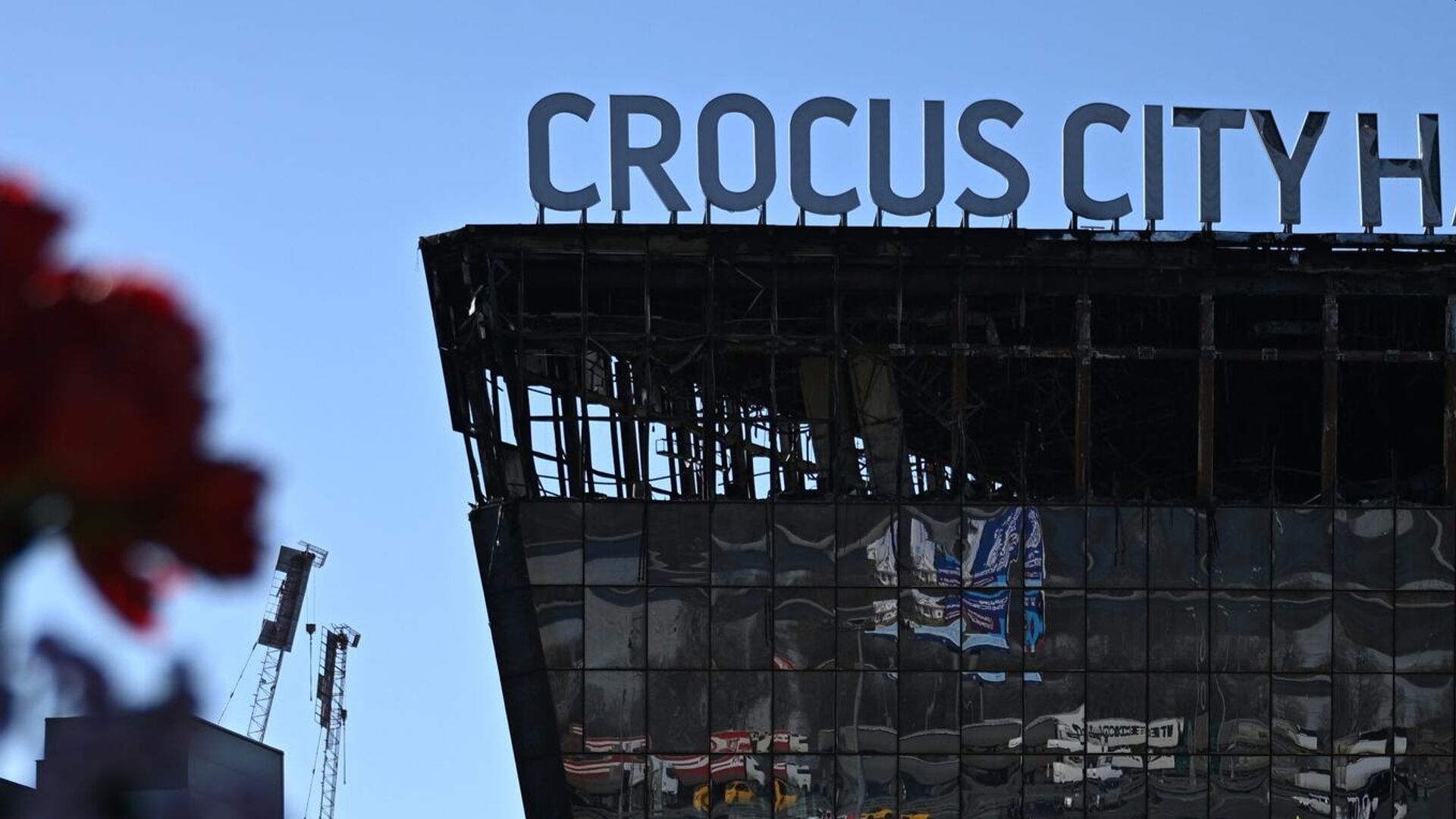 Четверым обвиняемым в теракте в Крокусе продлили арест