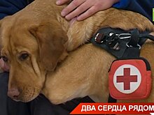 В Татарстане прошел конкурс для инвалидов по зрению и их собак-поводырей