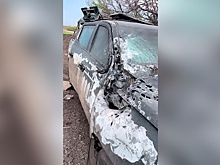 Новые Peugeot Landtrek ВСУ массово жгут дронами на купянском направлении