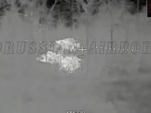 Уничтожение украинского танка-ежа сняли на видео