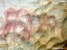В пещере Шульган-Таш в Башкирии нашли еще одно изображение верблюда