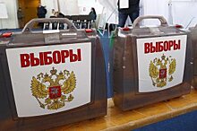 Выборы президента РФ в Беларуси прошли при высокой явке и без нарушений